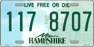 NH license plate 1178707