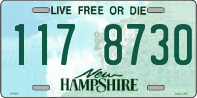 NH license plate 1178730