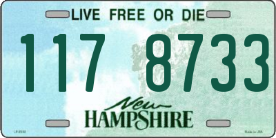 NH license plate 1178733