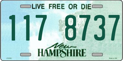 NH license plate 1178737