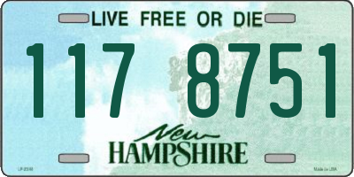 NH license plate 1178751