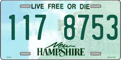 NH license plate 1178753