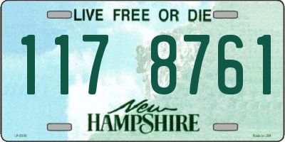 NH license plate 1178761