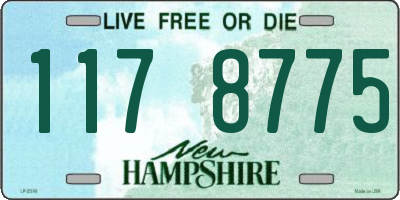 NH license plate 1178775