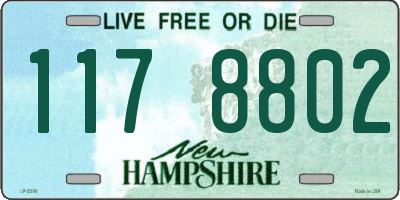 NH license plate 1178802