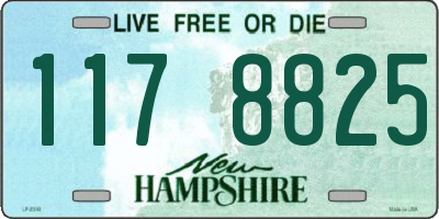 NH license plate 1178825