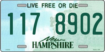 NH license plate 1178902