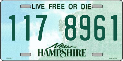 NH license plate 1178961