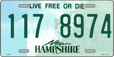 NH license plate 1178974