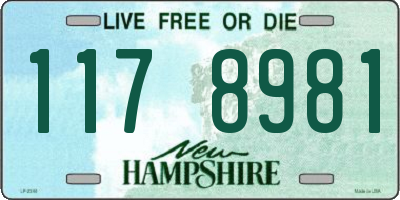 NH license plate 1178981