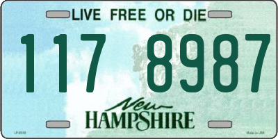 NH license plate 1178987