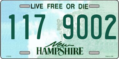 NH license plate 1179002