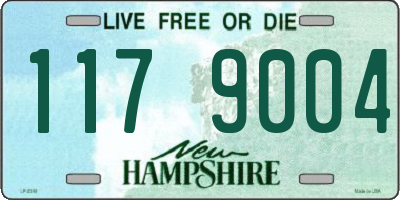 NH license plate 1179004