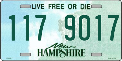 NH license plate 1179017