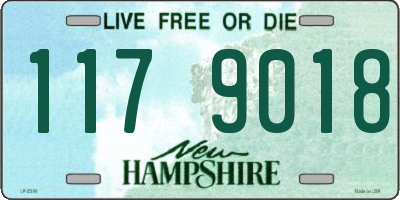 NH license plate 1179018