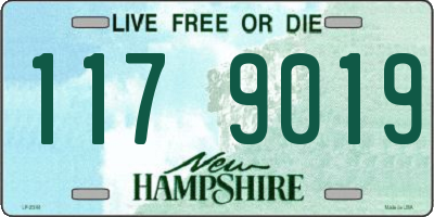 NH license plate 1179019