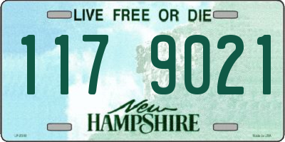 NH license plate 1179021