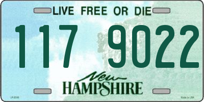 NH license plate 1179022