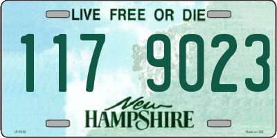 NH license plate 1179023