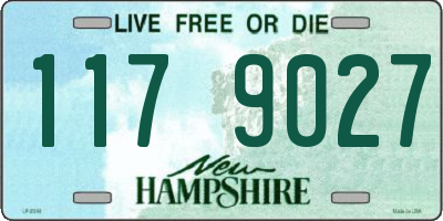 NH license plate 1179027