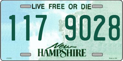 NH license plate 1179028