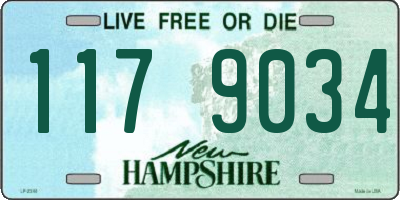 NH license plate 1179034