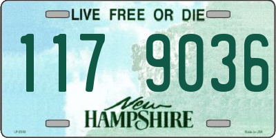 NH license plate 1179036
