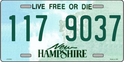 NH license plate 1179037