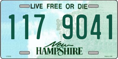 NH license plate 1179041