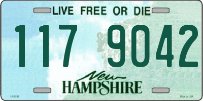 NH license plate 1179042