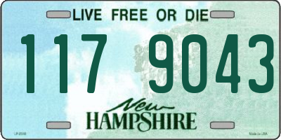 NH license plate 1179043