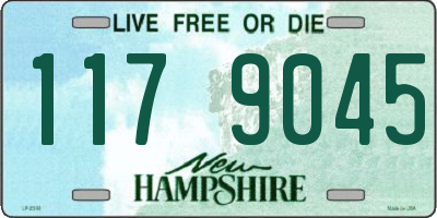 NH license plate 1179045