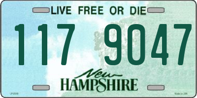 NH license plate 1179047