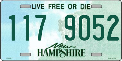 NH license plate 1179052