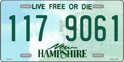 NH license plate 1179061