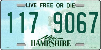 NH license plate 1179067