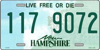 NH license plate 1179072