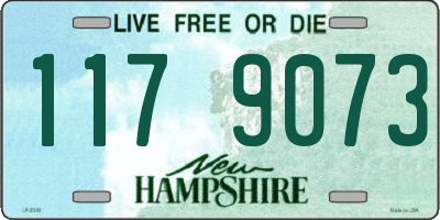 NH license plate 1179073