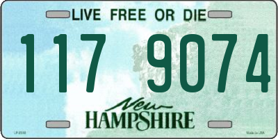 NH license plate 1179074