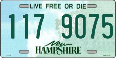 NH license plate 1179075