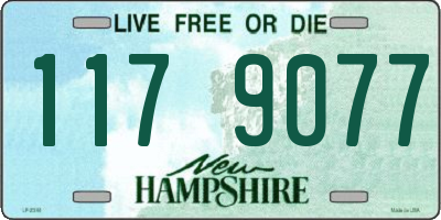NH license plate 1179077