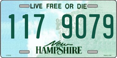 NH license plate 1179079