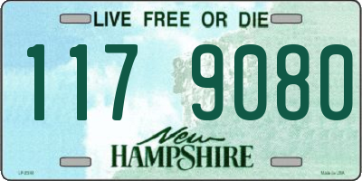 NH license plate 1179080