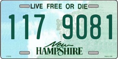NH license plate 1179081