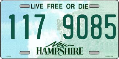 NH license plate 1179085