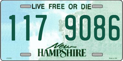 NH license plate 1179086