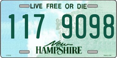 NH license plate 1179098