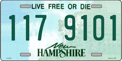 NH license plate 1179101