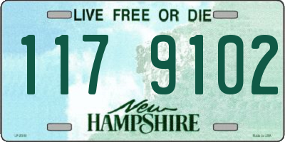 NH license plate 1179102