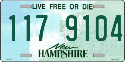 NH license plate 1179104